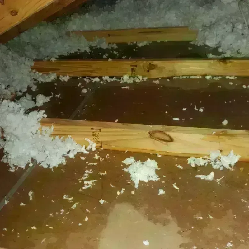 Attic Water Damage in Nowata County, OK