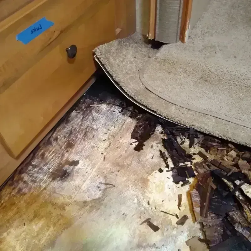 Wood Floor Water Damage in Nowata County, OK